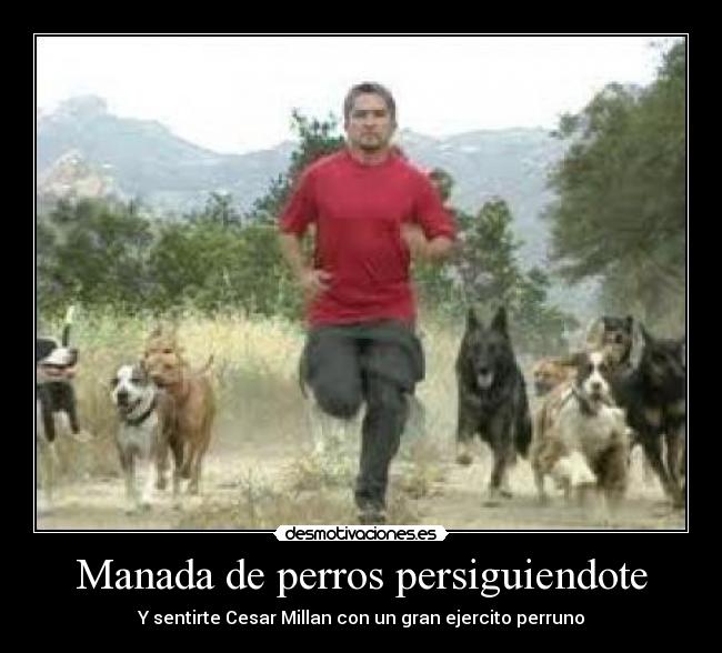 Manada de perros persiguiendote -