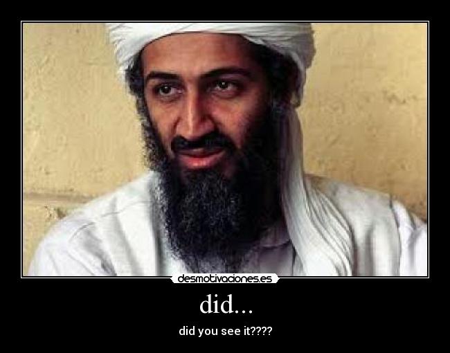 did... - did you see it????