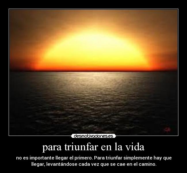 carteles vida vida desmotivaciones