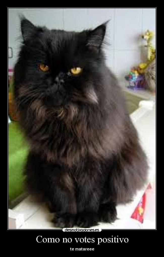Como no votes positivo - te matareee