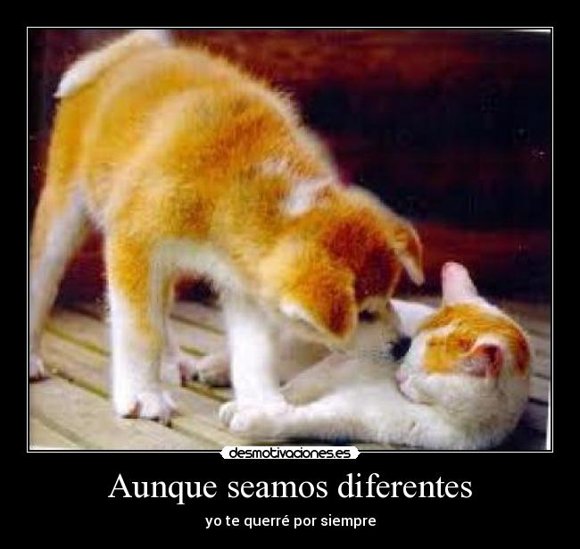 Aunque seamos diferentes -
