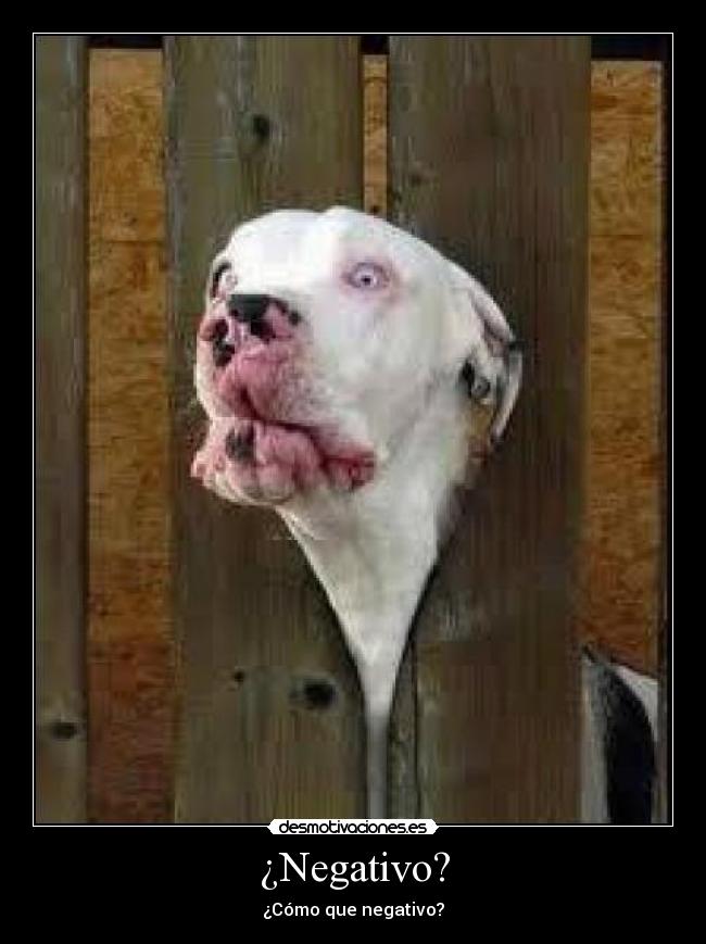 ¿Negativo? - 