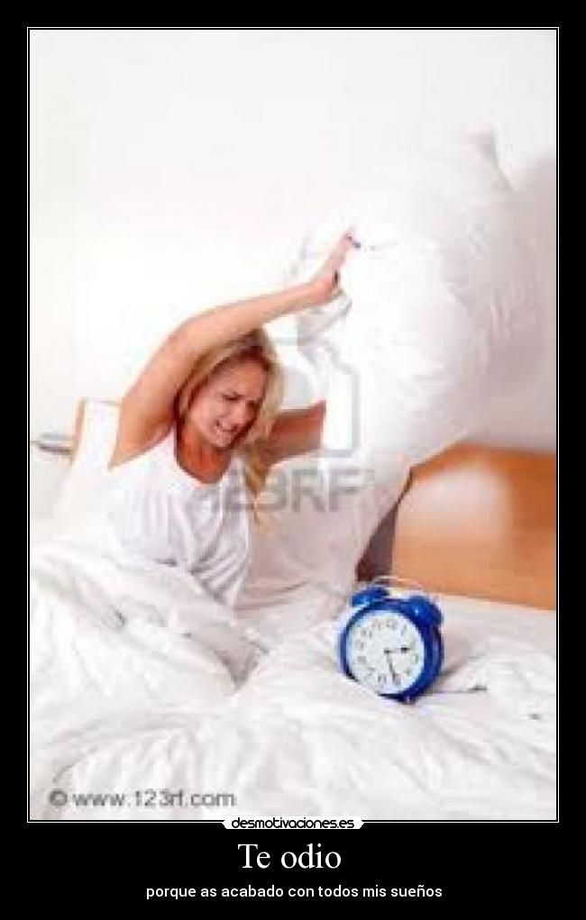 Te odio -