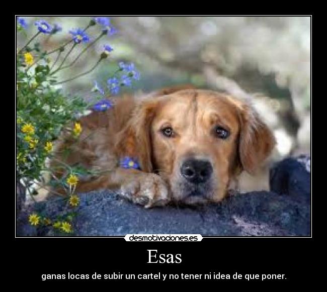 Esas - 
