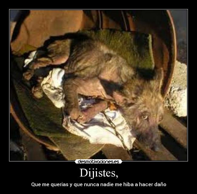 Dijistes, -