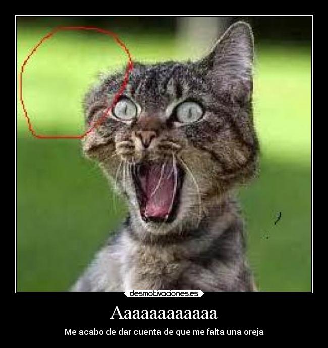 Aaaaaaaaaaaa - Me acabo de dar cuenta de que me falta una oreja