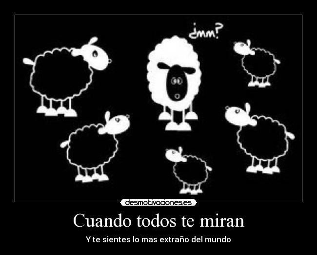 Cuando todos te miran - Y te sientes lo mas extraño del mundo