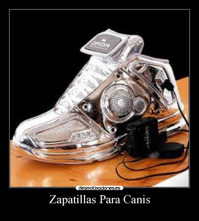 Zapatillas Para Canis -