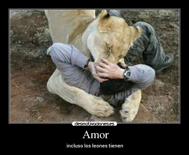  Amor - 