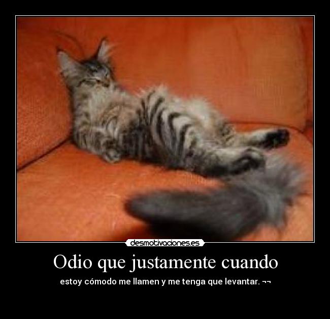 Odio que justamente cuando - estoy cómodo me llamen y me tenga que levantar. ¬¬