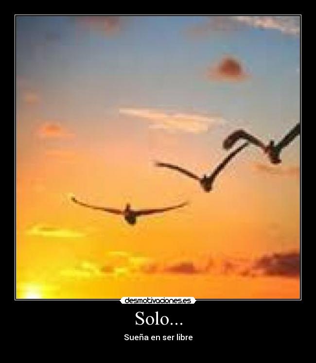 Solo... - Sueña en ser libre