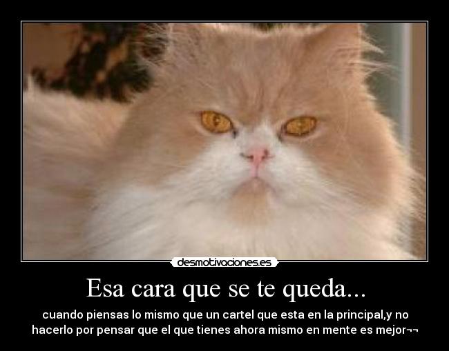 Esa cara que se te queda... - cuando piensas lo mismo que un cartel que esta en la principal,y no
hacerlo por pensar que el que tienes ahora mismo en mente es mejor¬¬