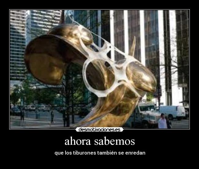 ahora sabemos - que los tiburones también se enredan