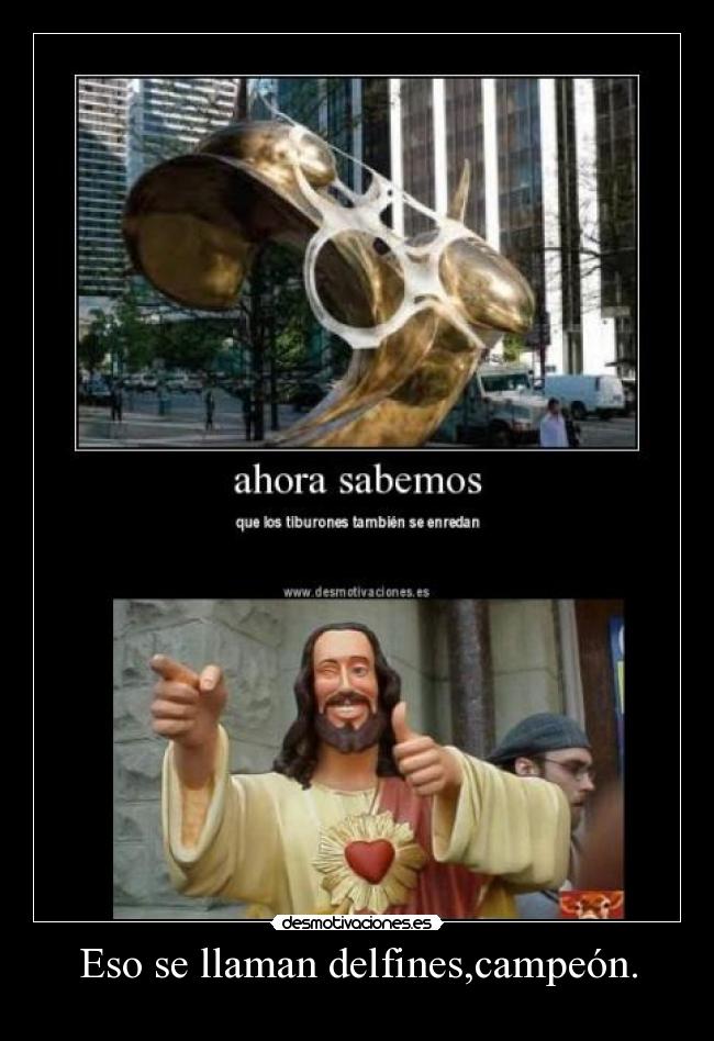 Eso se llaman delfines,campeón. -