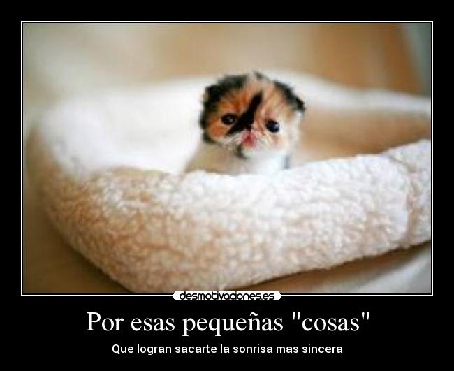 Por esas pequeñas cosas -