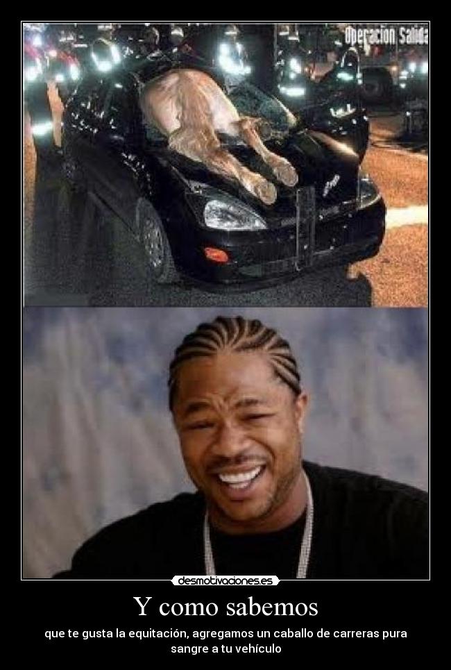 Y como sabemos - que te gusta la equitación, agregamos un caballo de carreras pura
sangre a tu vehículo