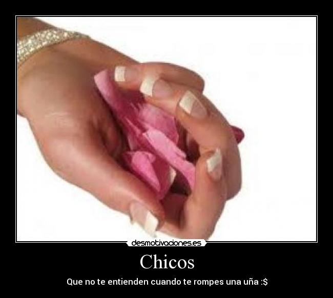 Chicos - 