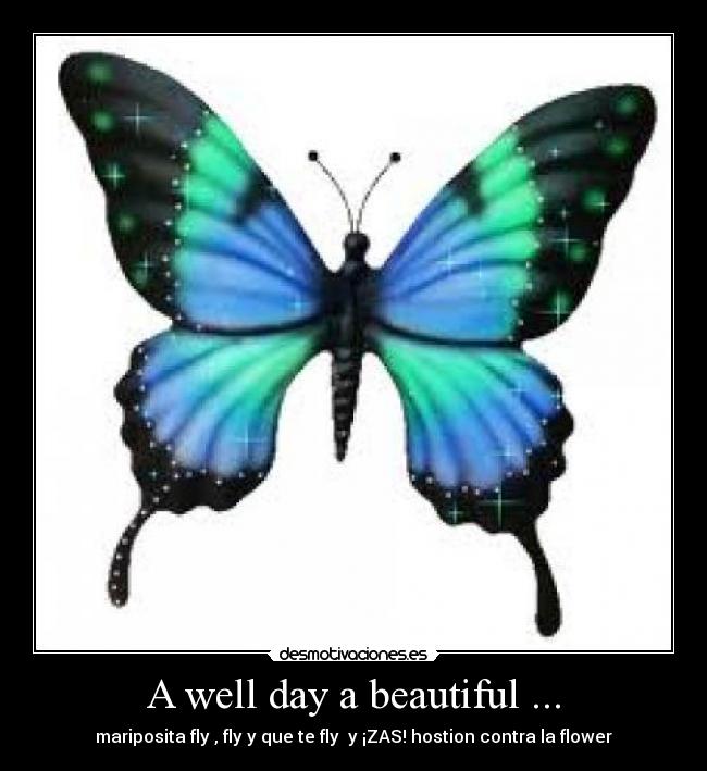 A well day a beautiful ... - 