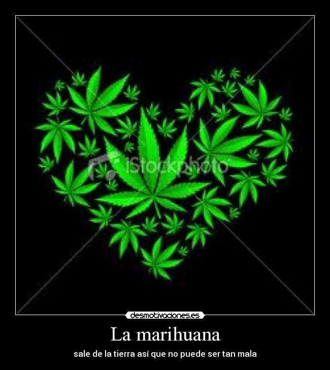 La marihuana - 