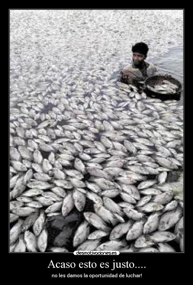 Acaso esto es justo.... -