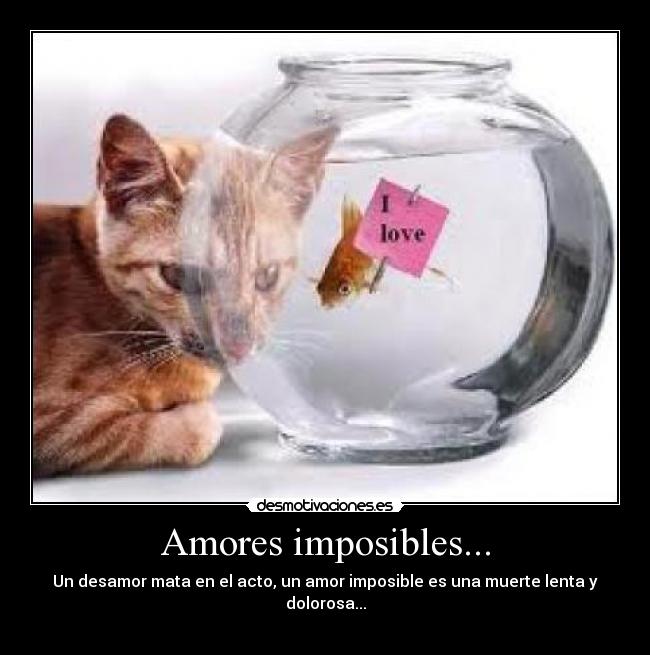 Amores imposibles... -