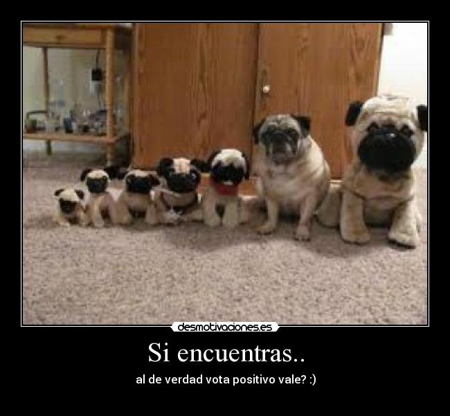 Si encuentras.. -