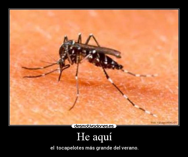 He aquí - el tocapelotes más grande del verano.