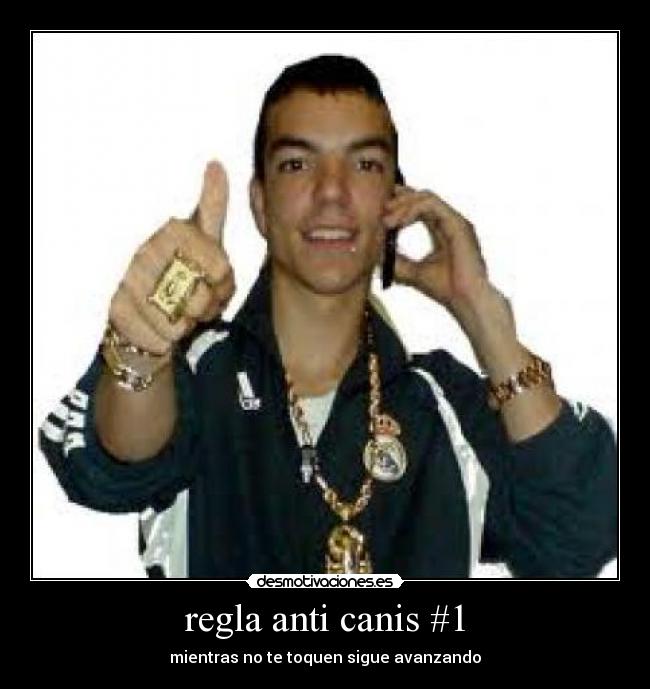 regla anti canis #1 -