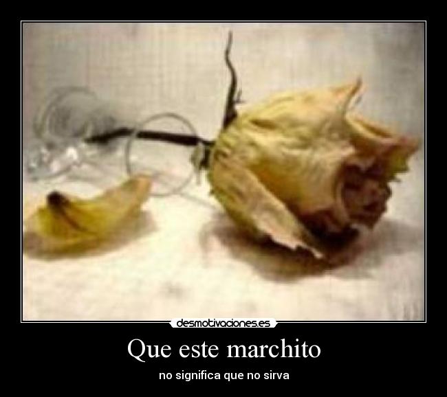 Que este marchito - no significa que no sirva