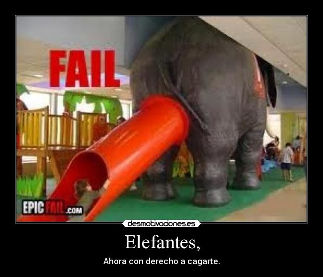 Elefantes, -