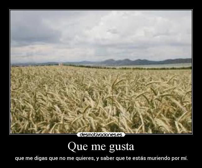 Que me gusta - que me digas que no me quieres, y saber que te estás muriendo por mí.