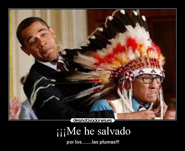 ¡¡¡Me he salvado - por los.........las plumas!!!