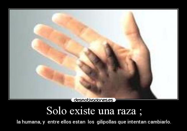 Solo existe una raza ; - 