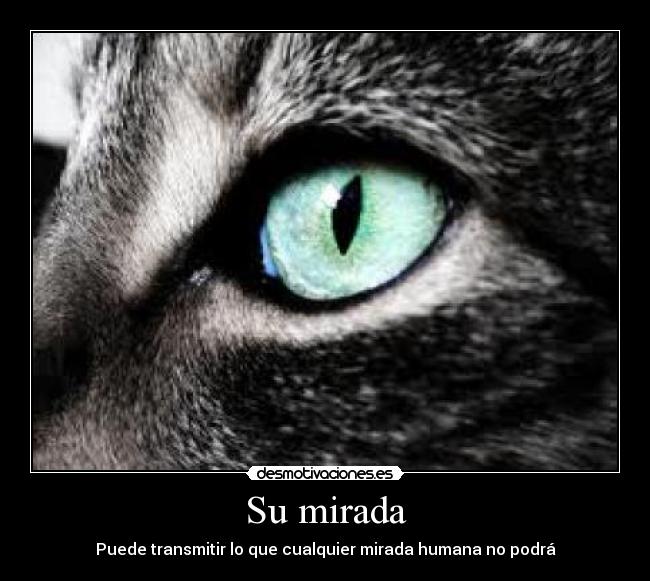 Su mirada -