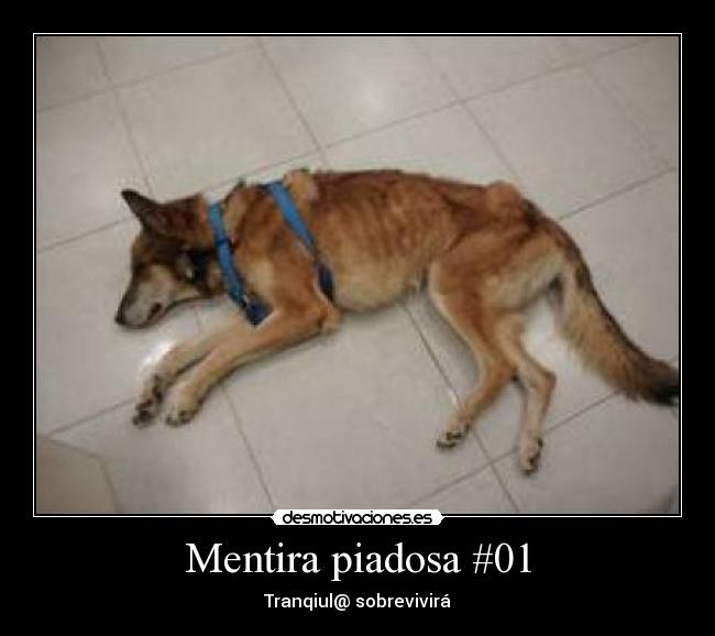 Mentira piadosa #01 - Tranqiul@ sobrevivirá