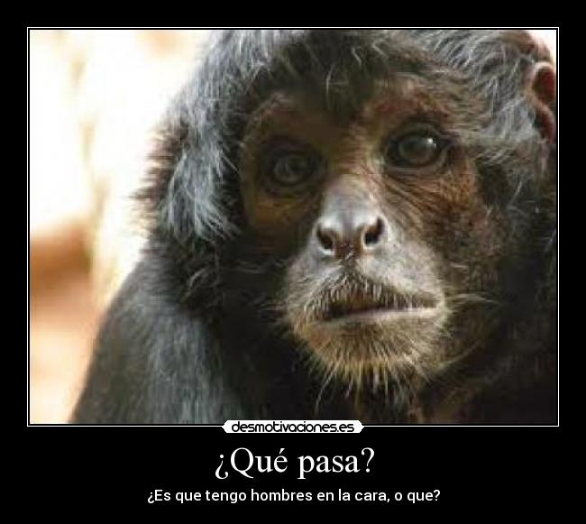 ¿Qué pasa? - 