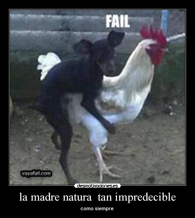 la madre natura  tan impredecible - como siempre 