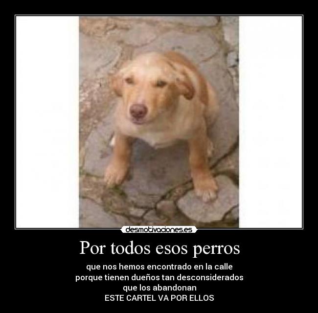 Por todos esos perros - que nos hemos encontrado en la calle
porque tienen dueños tan desconsiderados
que los abandonan
ESTE CARTEL VA POR ELLOS