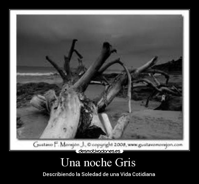 Una noche Gris -