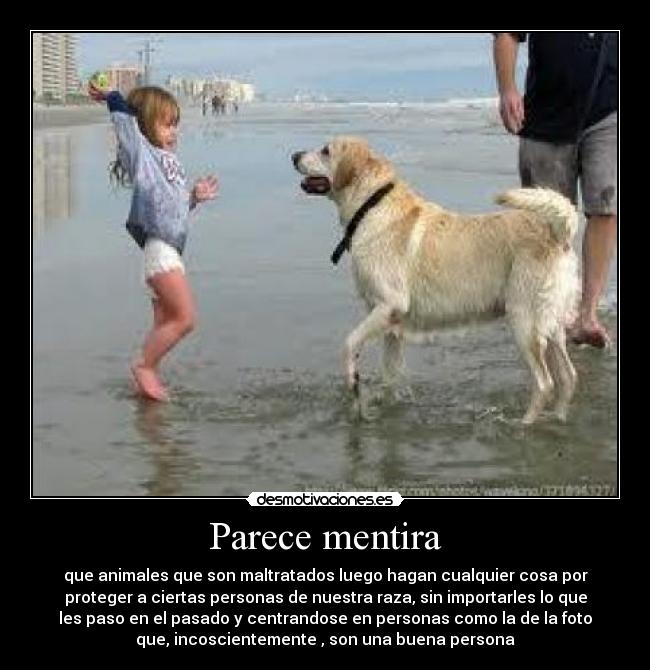 Parece mentira - que animales que son maltratados luego hagan cualquier cosa por
proteger a ciertas personas de nuestra raza, sin importarles lo que
les paso en el pasado y centrandose en personas como la de la foto
que, incoscientemente , son una buena persona