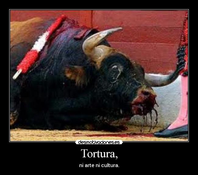 Tortura, - 