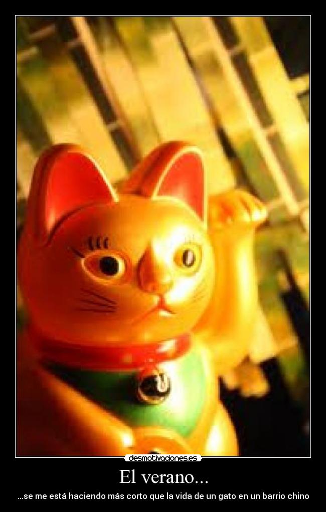 carteles verano gatosbarrio chino desmotivaciones