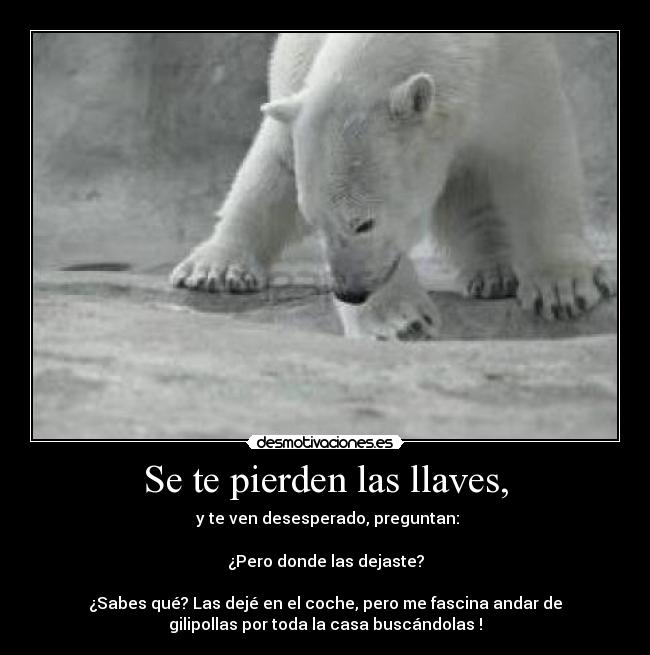 carteles llaves preguntas inutilesoso buscando desmotivaciones