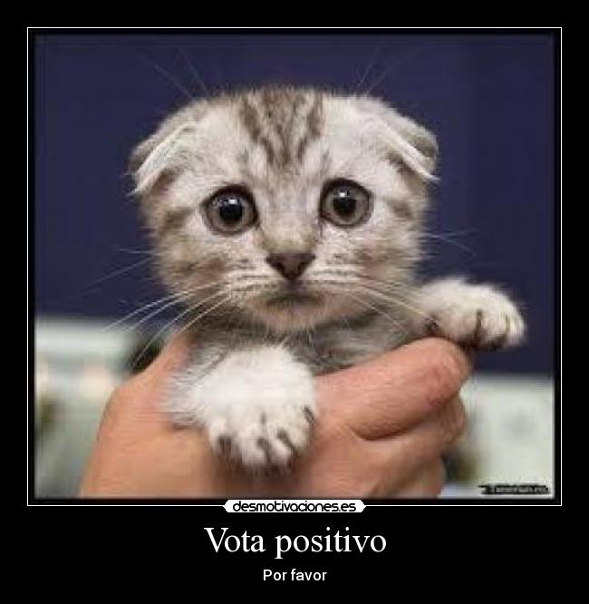 Vota positivo -