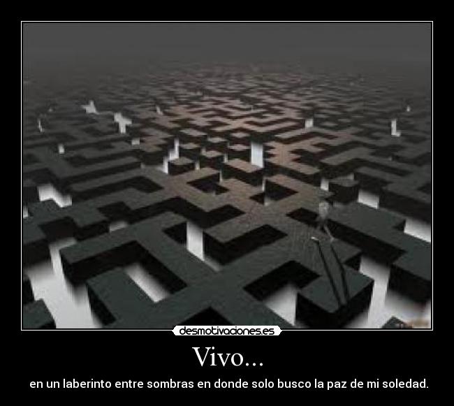 Vivo... -