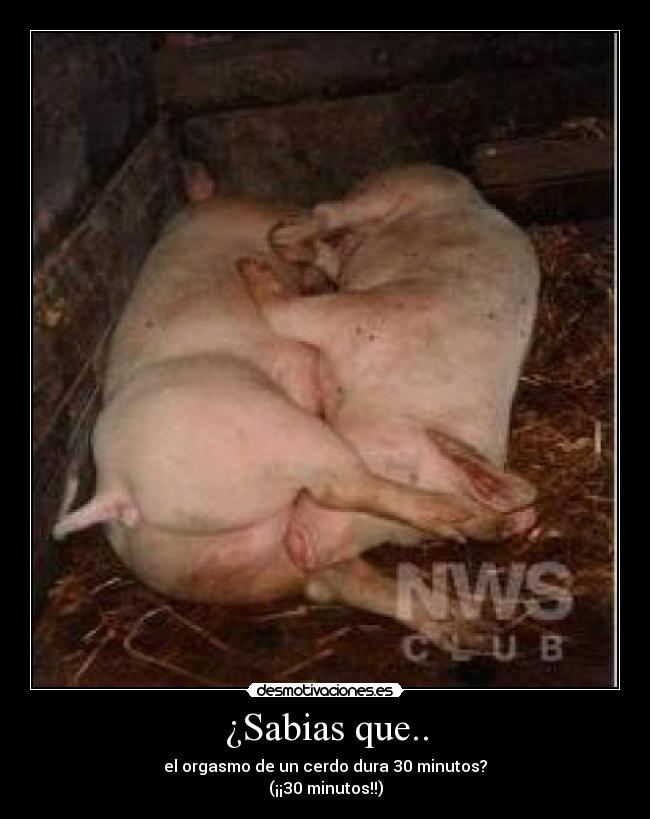 ¿Sabias que.. - 