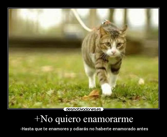 +No quiero enamorarme -  -Hasta que te enamores y odiarás no haberte enamorado antes