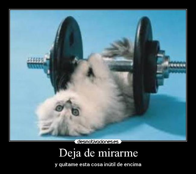 carteles  desmotivaciones