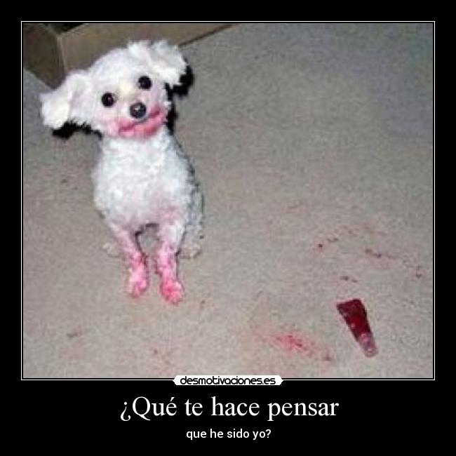 ¿Qué te hace pensar - 