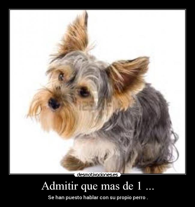 carteles admitr desmotivaciones